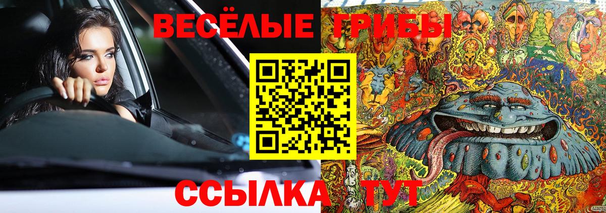 Галлюциногенные грибы мицелий Железногорск