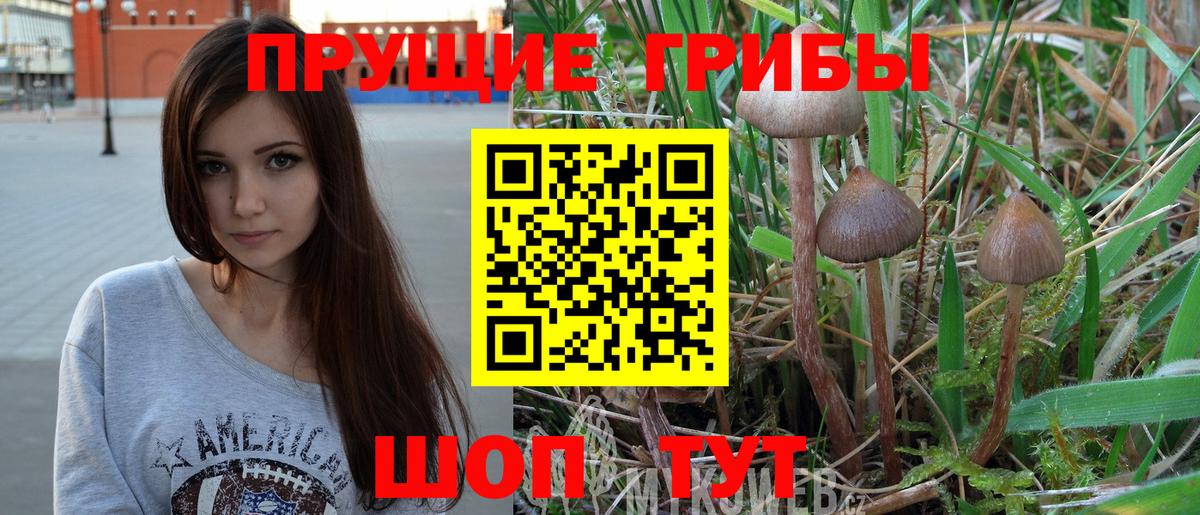 Псилоцибиновые грибы MAGIC MUSHROOMS  Вход с VPN  Железногорск 